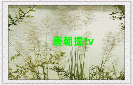 唐朝提tv