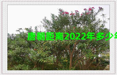 唐朝距离2022年多少年