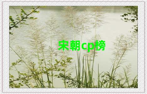 宋朝cp榜