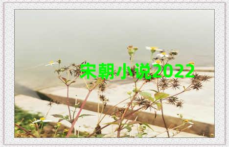 宋朝小说2022